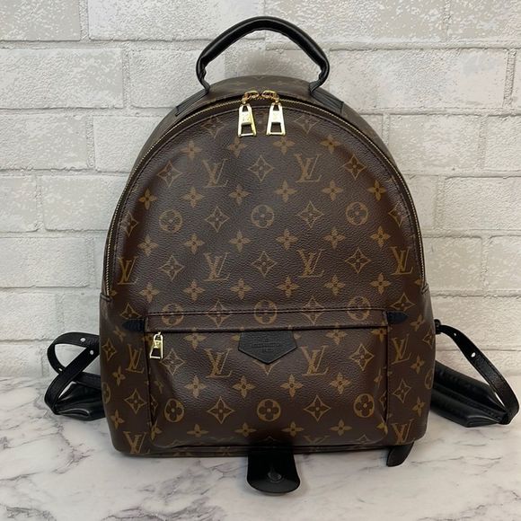 Louis Vuitton Palm Springs MM Monogram Backpack - Picture 1 of 13